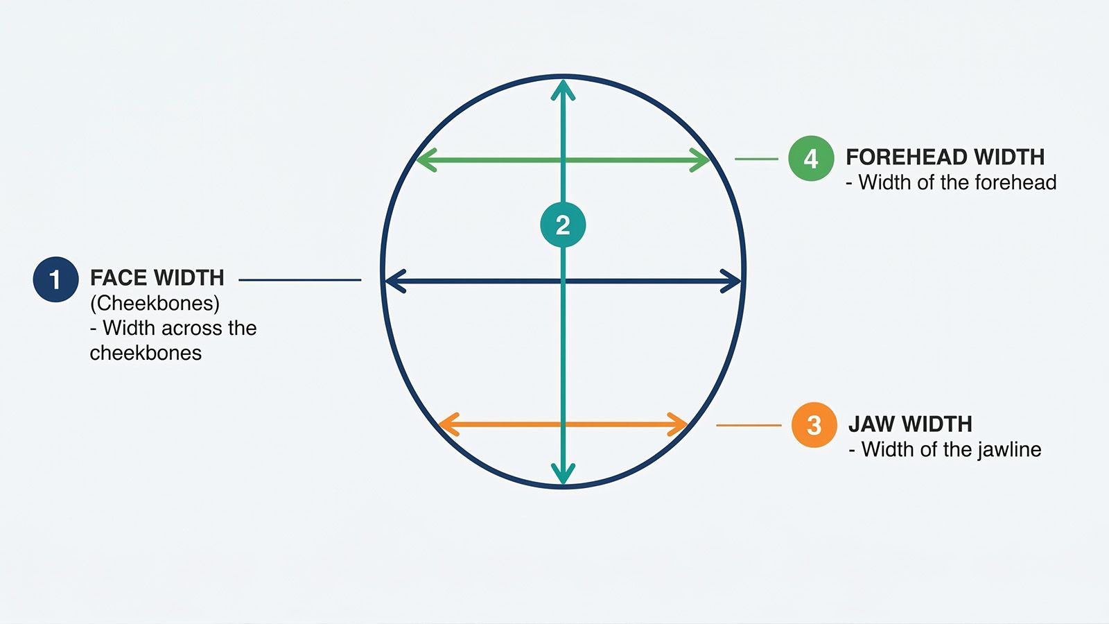 Infographic showing how to measure a round face shape