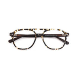 Color_Tortoiseshell color