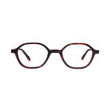 Color_Tortoiseshell color