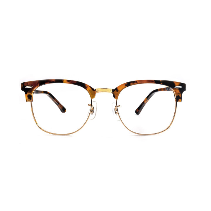 Color_Tortoiseshell color
