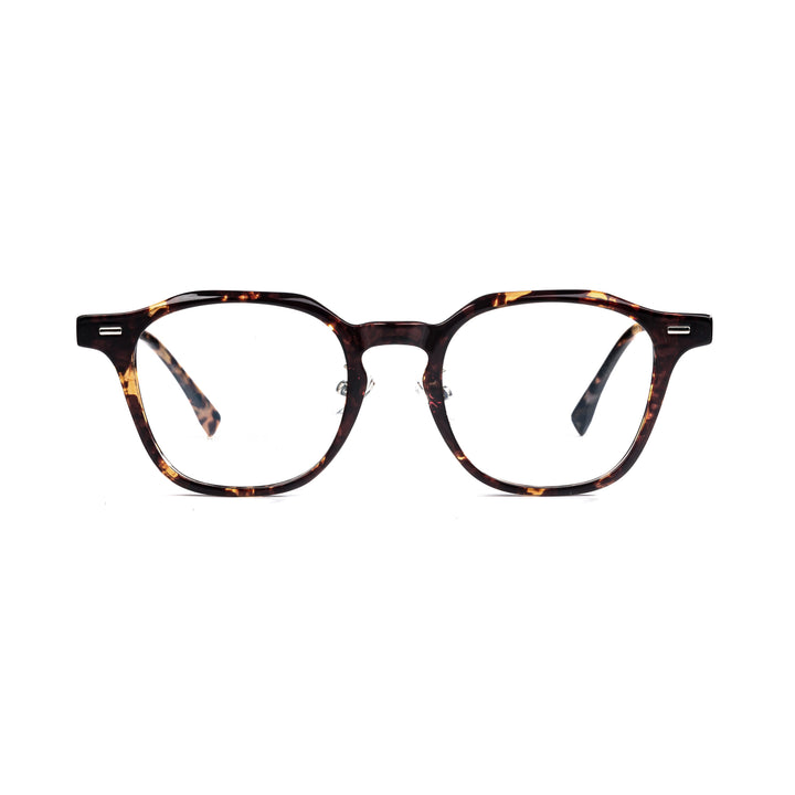 Color_Tortoiseshell color