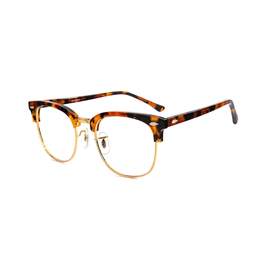Color_Tortoiseshell color
