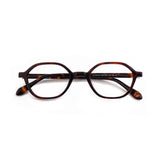 Color_Tortoiseshell color