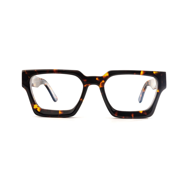 Color_Tortoiseshell color