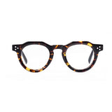 Color_Tortoiseshell color