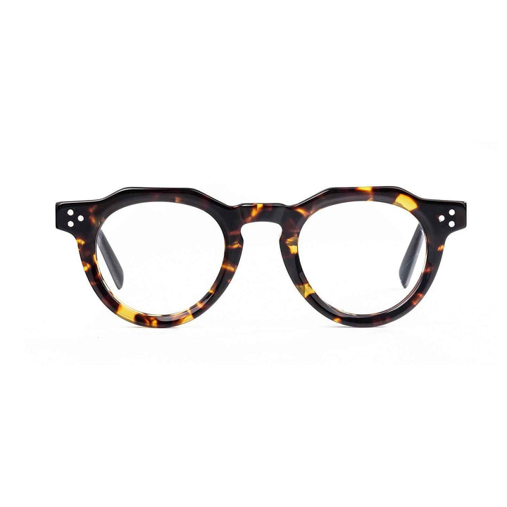 Color_Tortoiseshell color