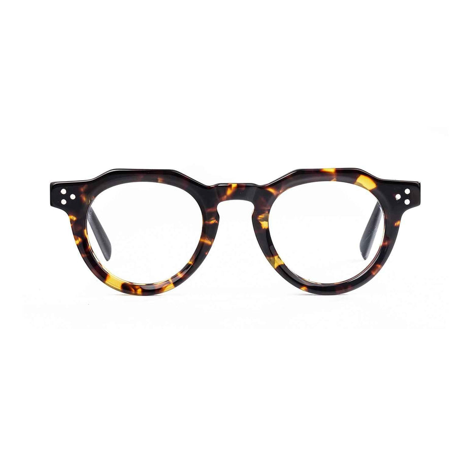 Color_Tortoiseshell color