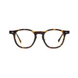 Tortoiseshell color
