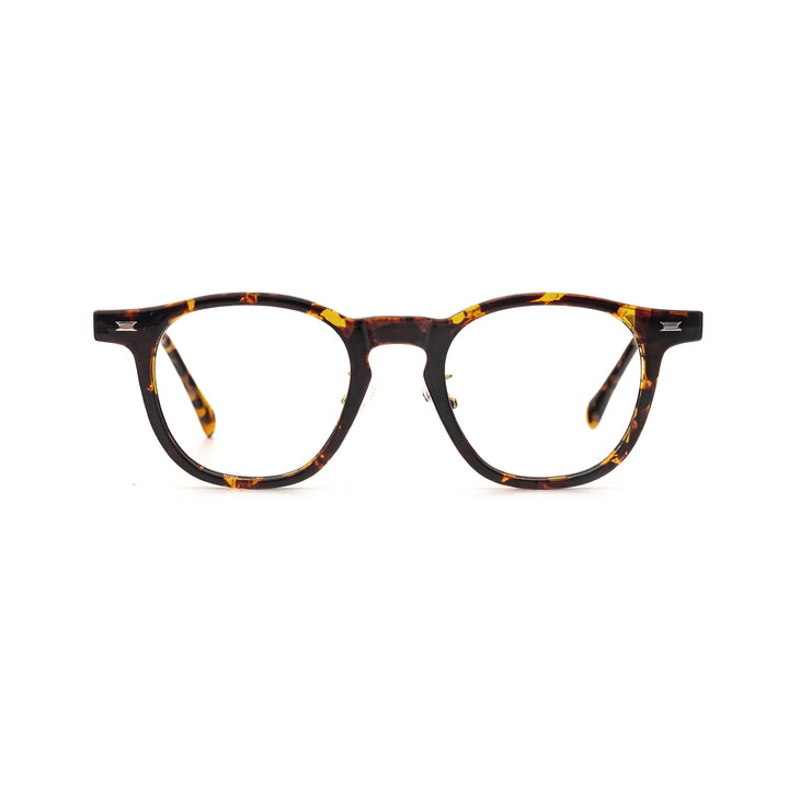 Color_Tortoiseshell color