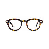 Tortoiseshell color
