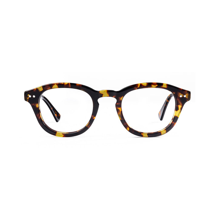Color_Tortoiseshell color