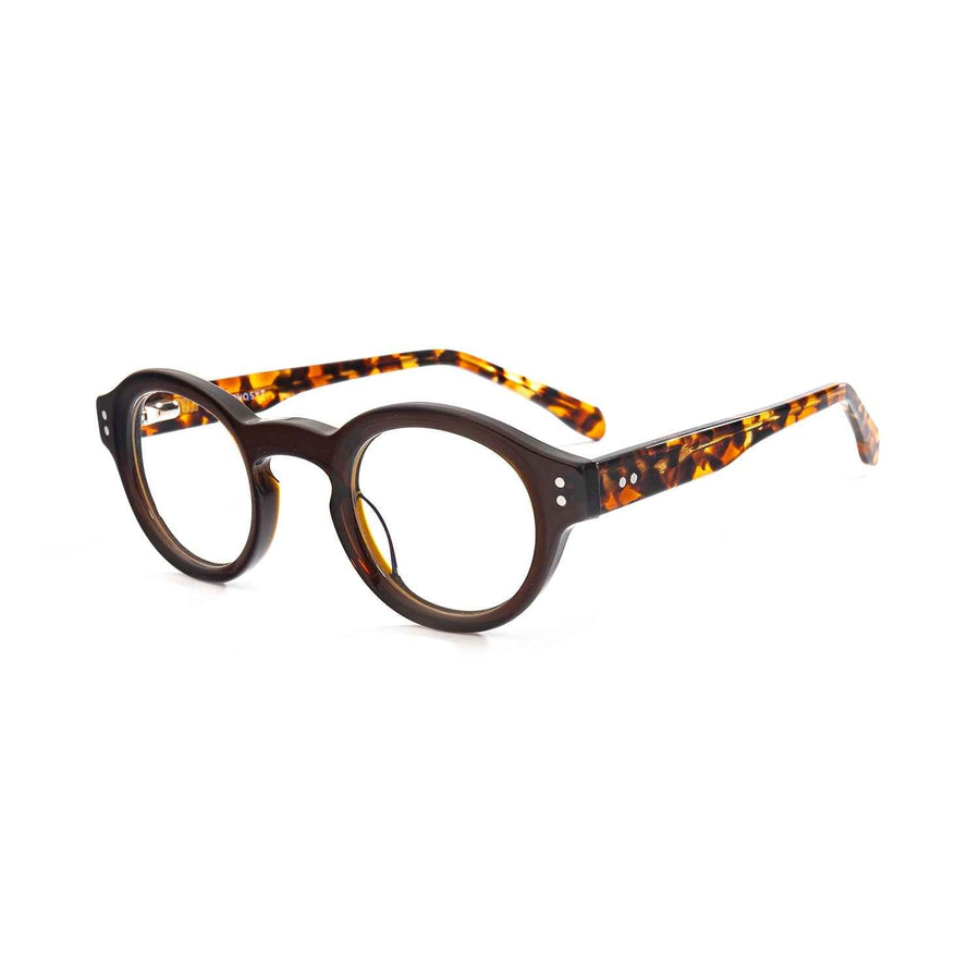 Color_Tortoiseshell color
