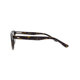 Tortoiseshell color