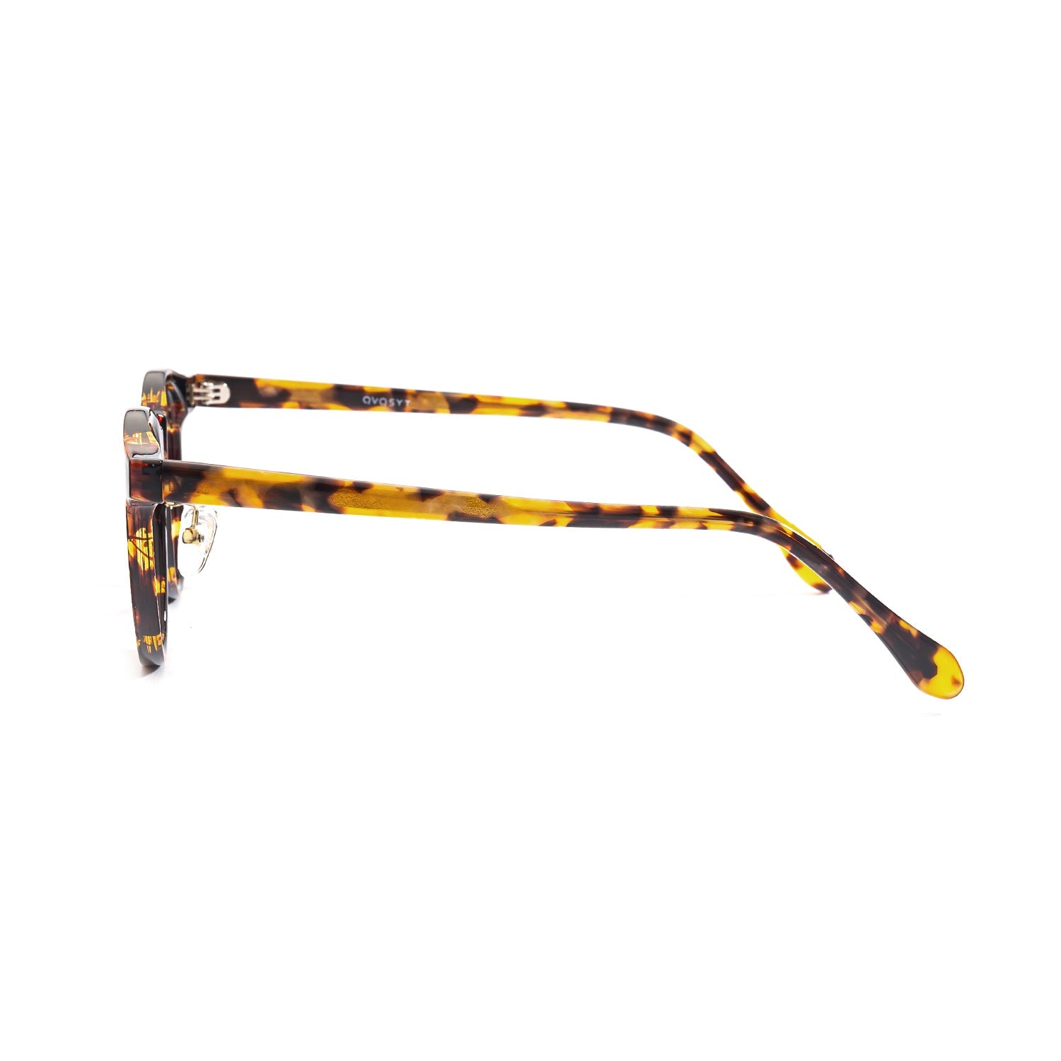 Color_Tortoiseshell color