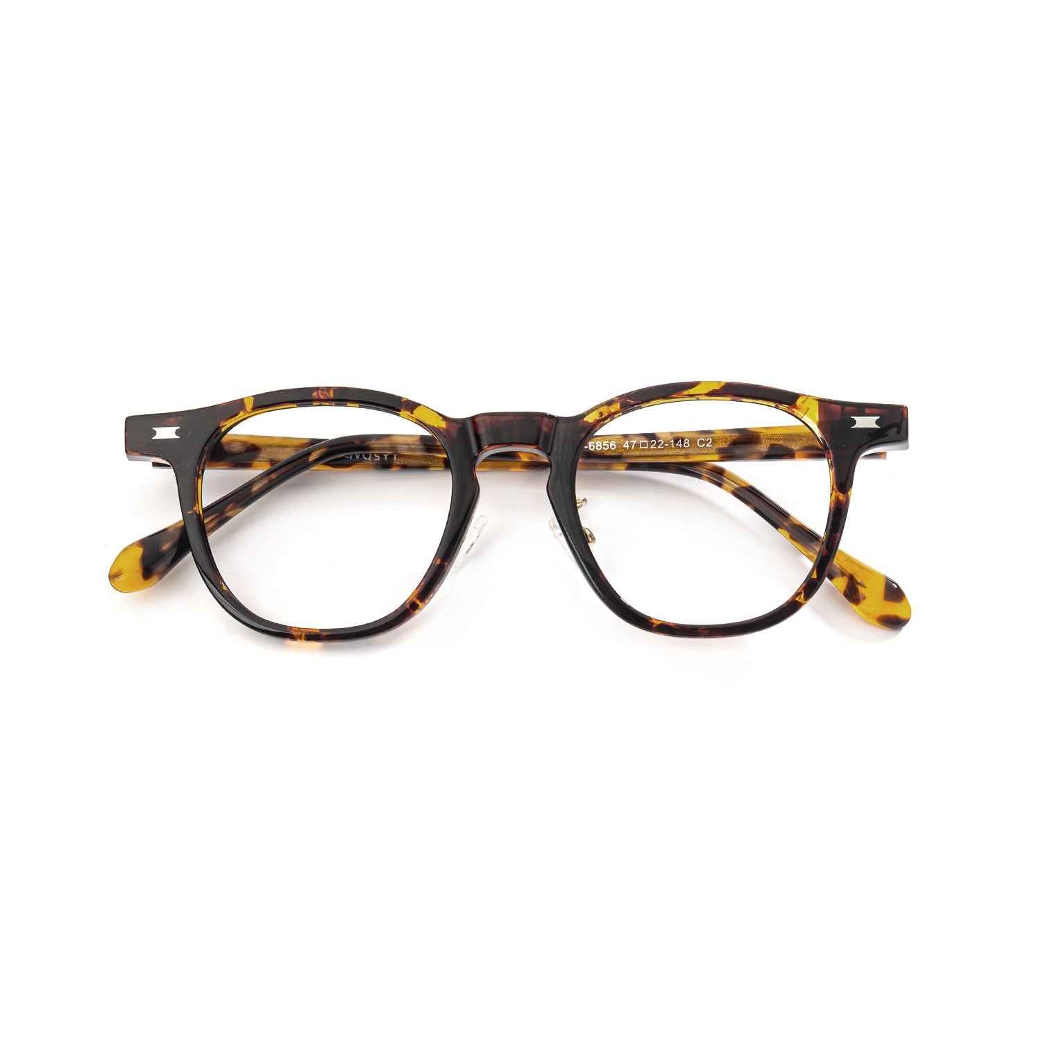 Color_Tortoiseshell color