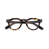 Color_Tortoiseshell color